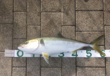 Bs優勝の前祝い