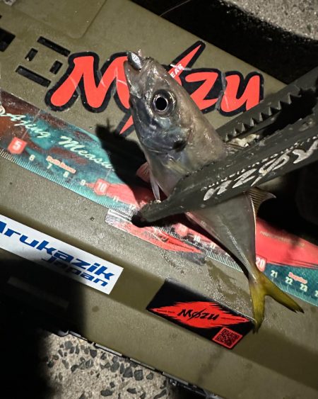 気難しいお豆ちゃん