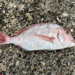 道越鼻がアツいっ❗þ…