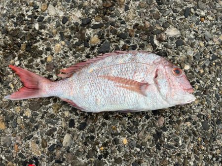 道越鼻がアツいっ❗þ…