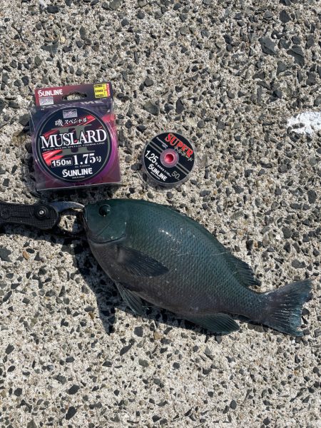 クロ釣り練習❗️…