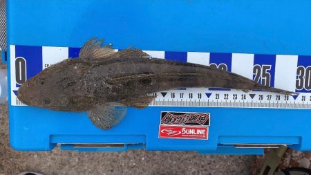 最後に疲れました