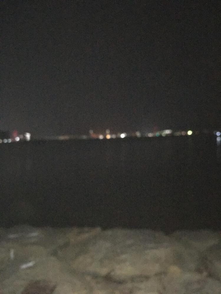 寄り道フィシング