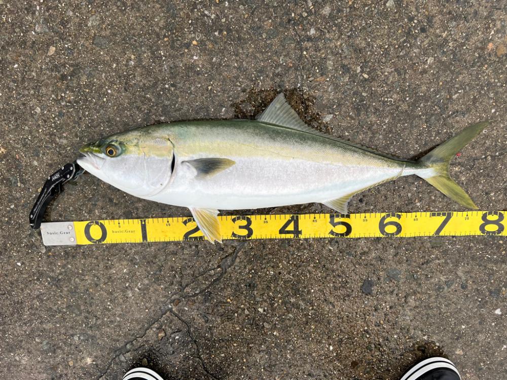 そろそろ帰ろうかと思ったら…