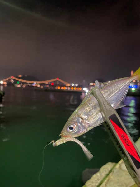 関門アジング10.17