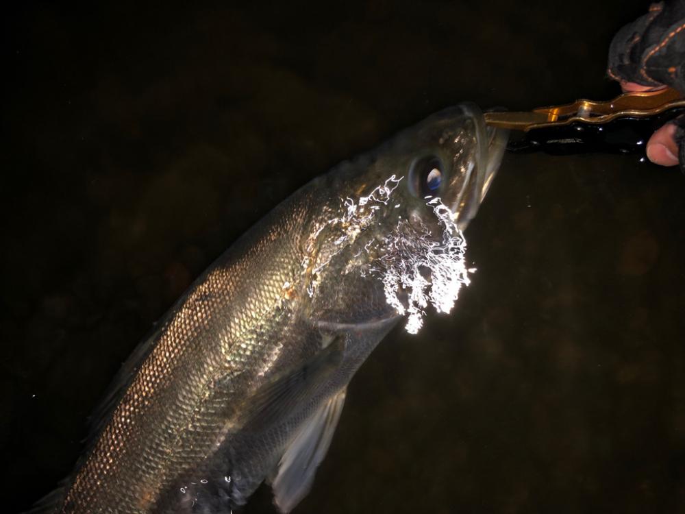 まだ水温高め