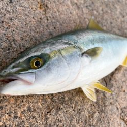 ウキ沈みまくり