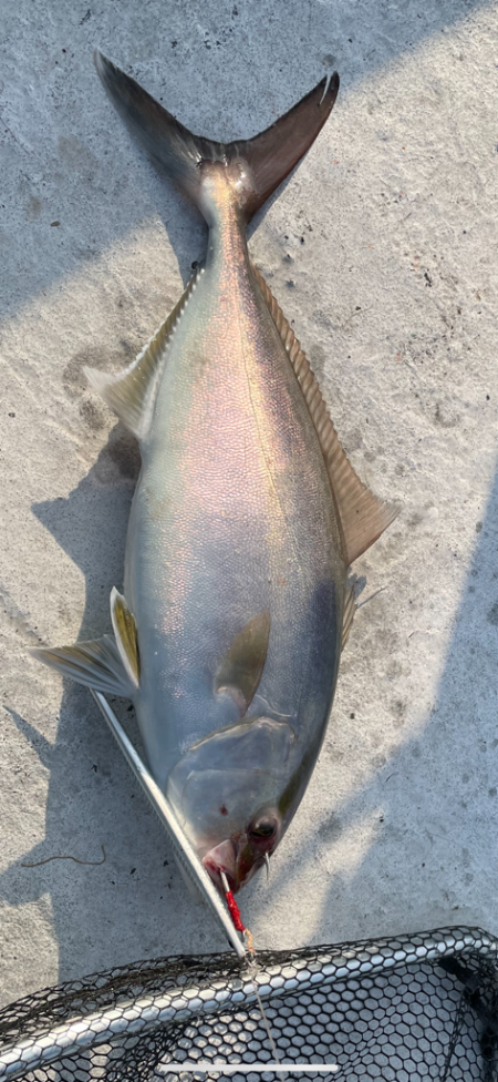 久しぶりの凪予報!!オフショアへ(*`･ω…