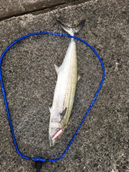 第7回雰囲気あります