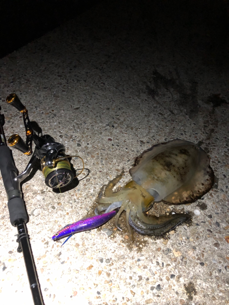 段々と数が上がってこない季節に…