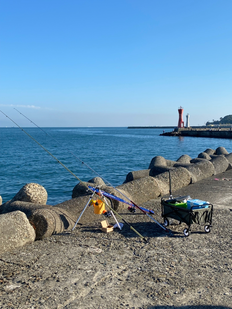 大阪最南端の落ちギス狙い