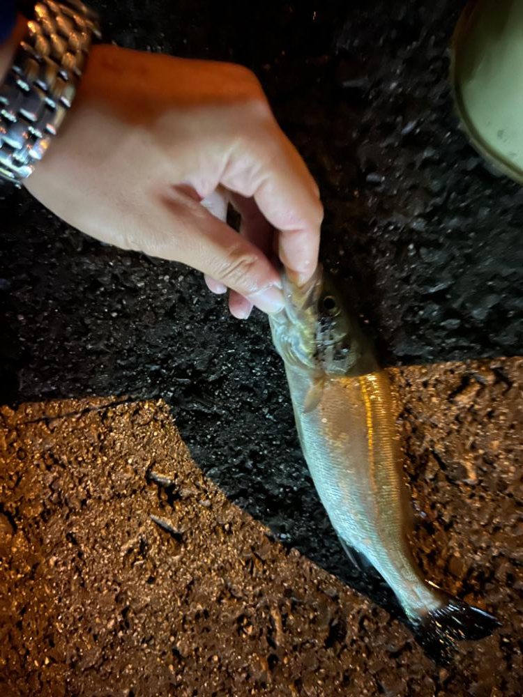 三重県、小物5目