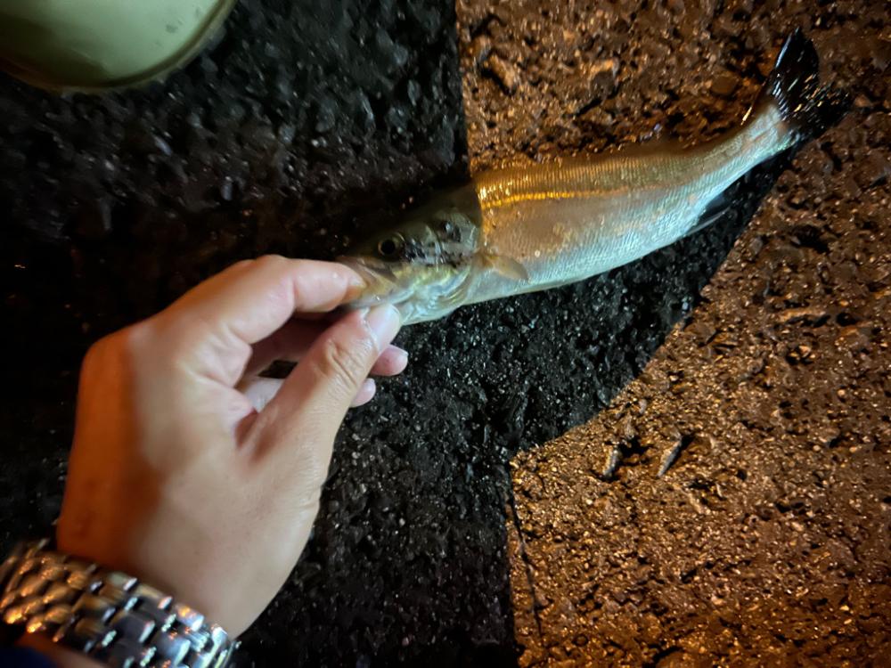 三重県、小物5目