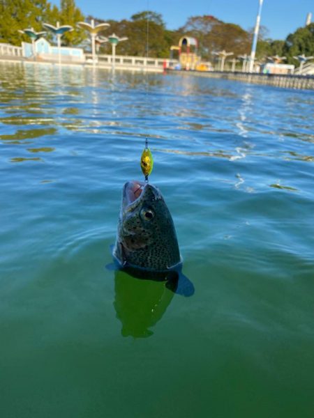 エリアトラウト楽し過ぎ