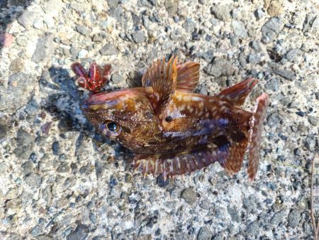 いまいちでした