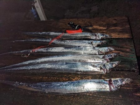 年内最終釣行かも知れないので…