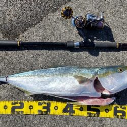 武庫一リベンジ！