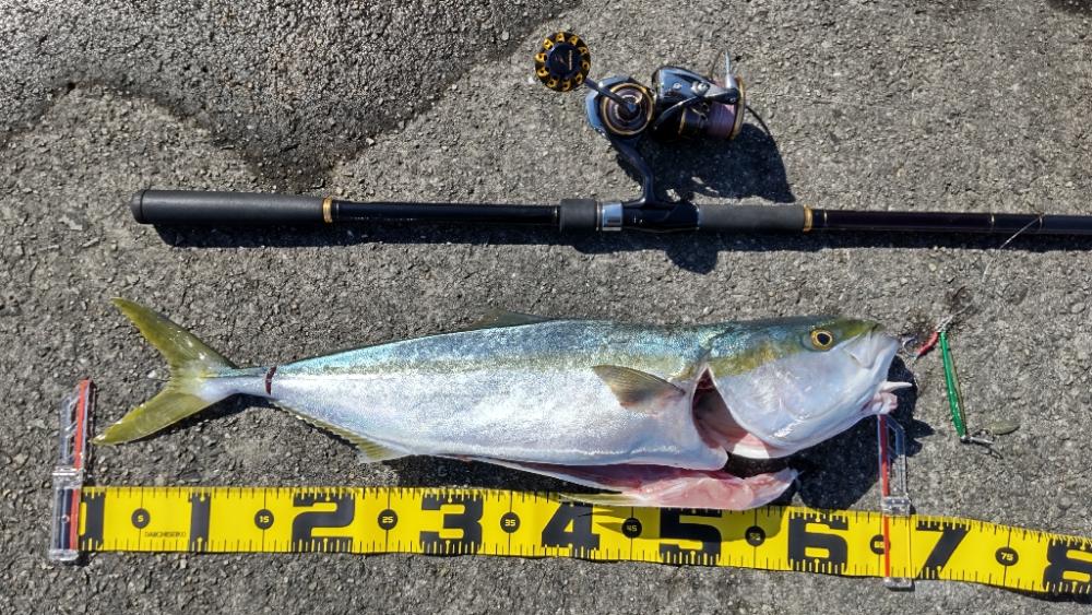 武庫一リベンジ!