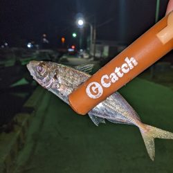 NEWロッド入魂。