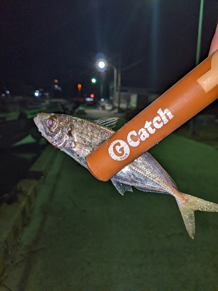 NEWロッド入魂。