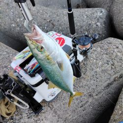 ショアジギング