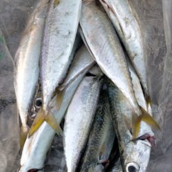 無限のサバゲー