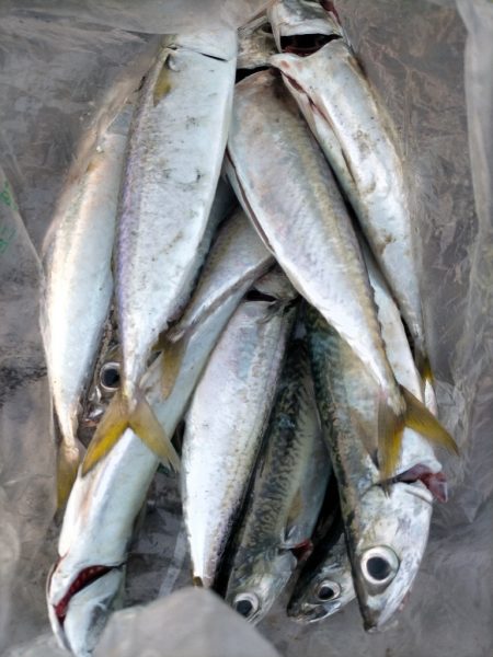 無限のサバゲー