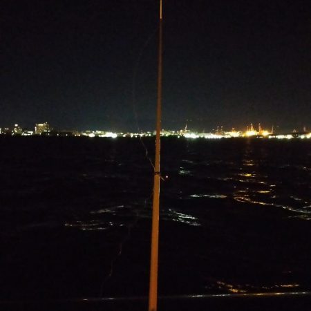 久々に短時間夜釣り