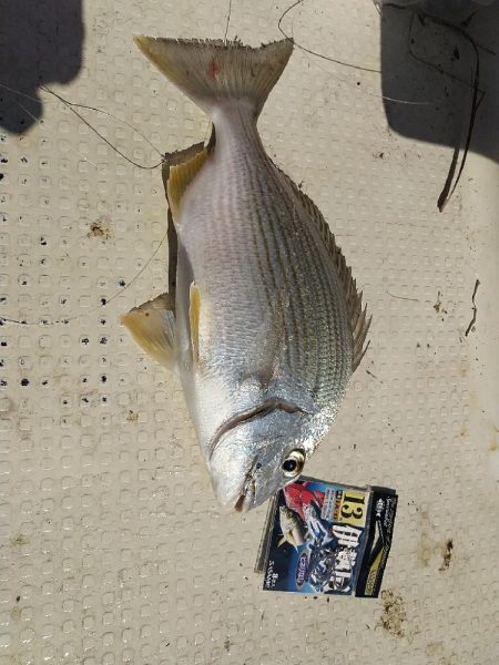 初めてのレンタルボート船長で☆