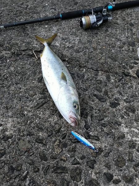 ショアジギングでムコイチ☆