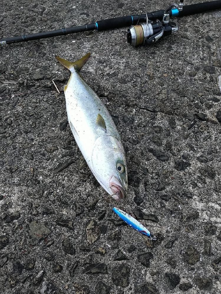 ショアジギングでムコイチ☆