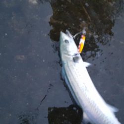 キャンプにつき遠征しました！