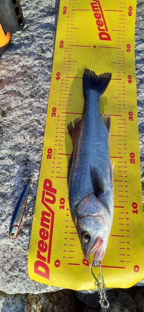 トップの醍醐味😊