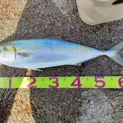 お昼からゆっくり