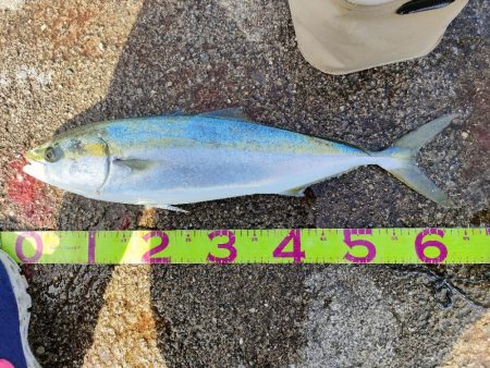 お昼からゆっくり