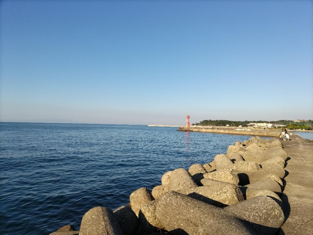 タチウオ楽しい