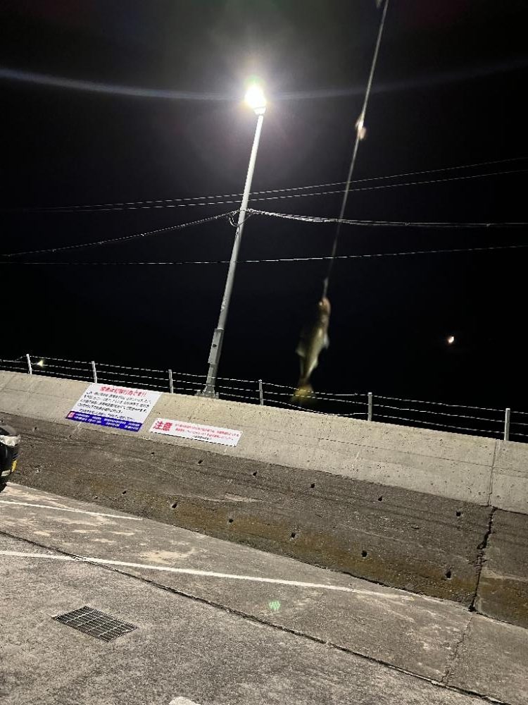 絶唱！！ど～言うこっちゃ～・・・(唖然)