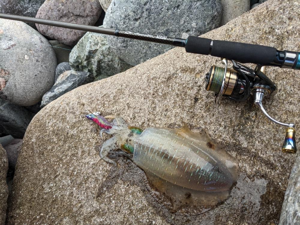 40杯以上！やっぱSMTはすごい(・×・)