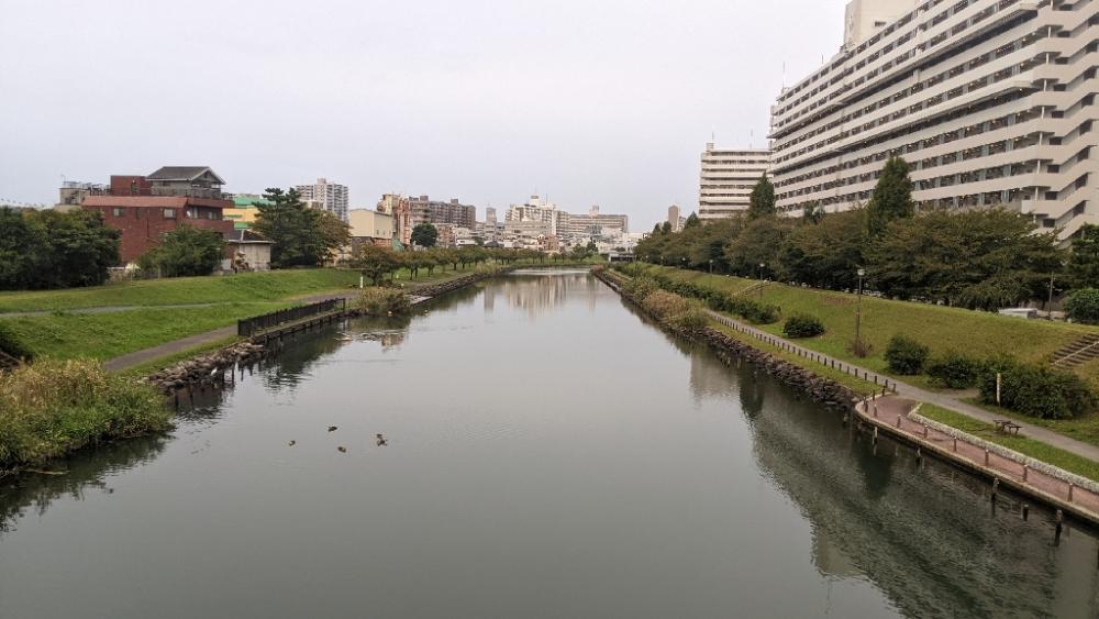 旧中川 ハゼ 114匹