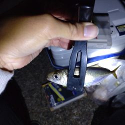 始めての夜の釣り