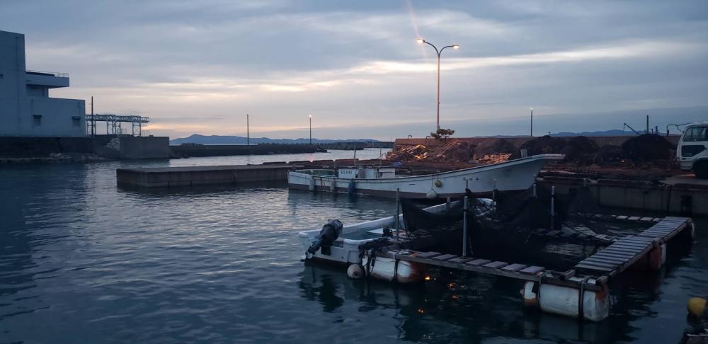 アジ探し@小島周辺