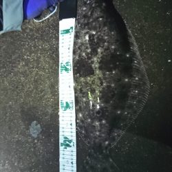 ついにキターー♪