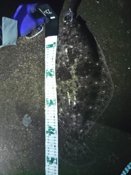 ついにキターー♪