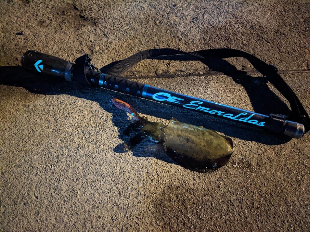 ババ荒れにて奔走も41杯(・x・*)♪