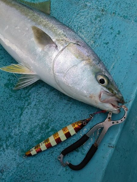 ワンデイバトルin白浜の参