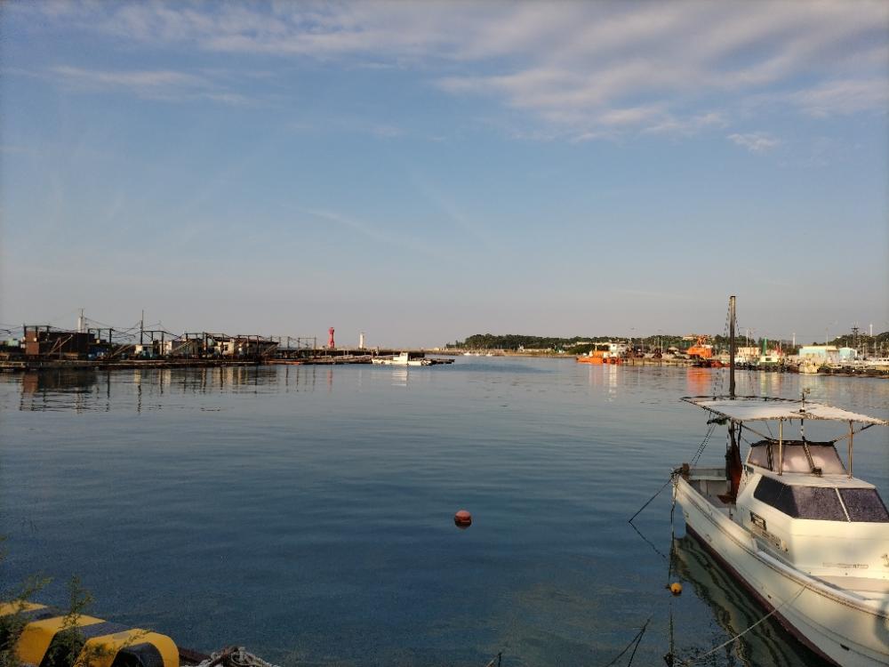 タチウオ渋すぎ