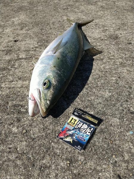 武庫川一文字で飲ませ釣りす