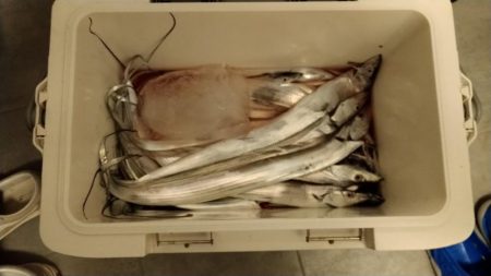 太刀魚ライトジギング