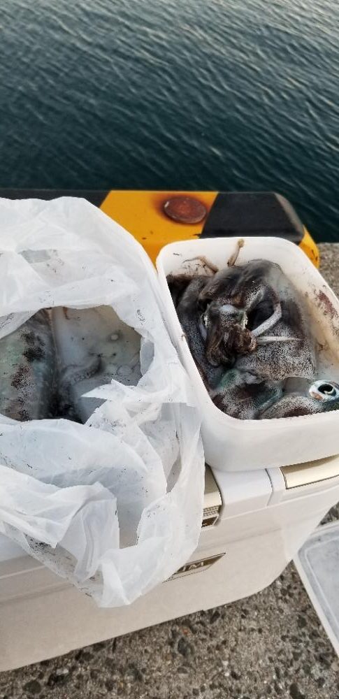 戸坂～塩津～下津～初島