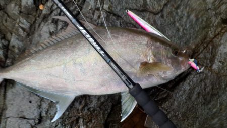 バーティカルリミット大活躍な離島ショアジギ…